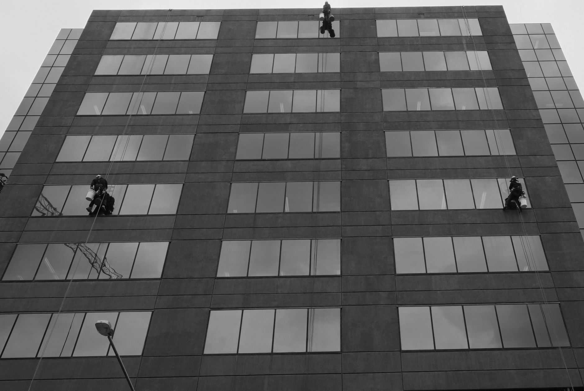Black-and-white view of a tall office building facade with windows and two workers on ropes.